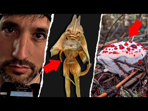 ¿Pero QUÉ ES ESTO? 🤯 14 cosas MUY CURIOSAS que no conoces [ASMR]