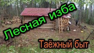 Лесная изба.Таёжный быт.Делаем грядку.