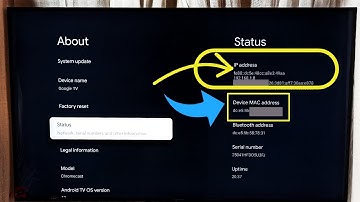 TCL Smart Google TV : How to Find IP Address and MAC Address | 2 Ways