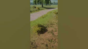 Foliage Tutorial in Planet Zoo