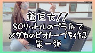 #1 超巨大！80Lのプラ舟でメダカのビオトープ作成第一弾！【おうち時間】メダカの育て方　ビオトープ作り　Biotope