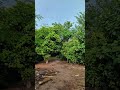 beauty of weather #like #youtubeshorts