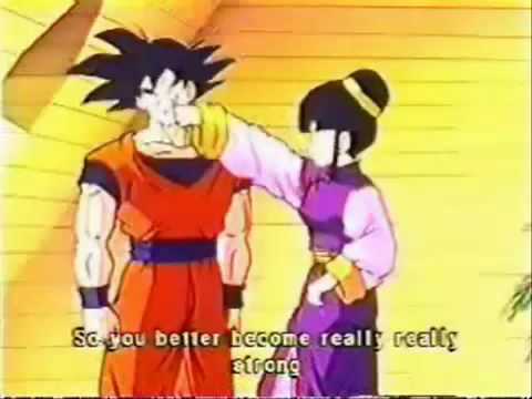 Son Goku Chichi Son Goku Chichi