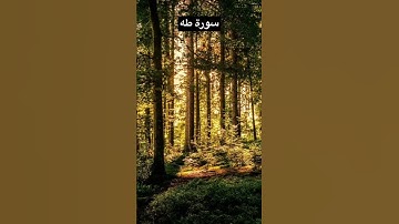 سورة طه - فَلَمَّا أَتَاهَا نُودِيَ يَا مُوسَىٰ ﴿١١﴾