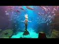 The Best Dreamy Mermaid Melissa footage Relaxing underwater (soothing ambient chillout music)