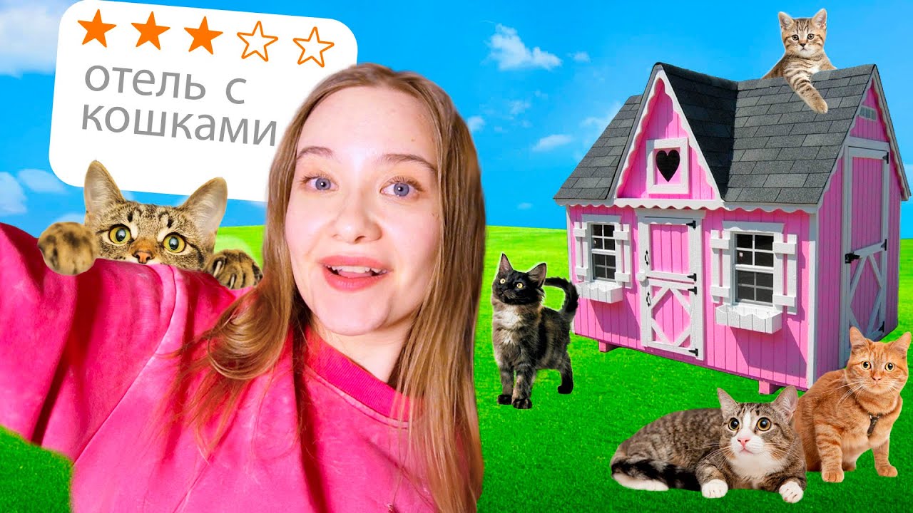 Попала в отель с Кошками. Турция.  кошачий влог