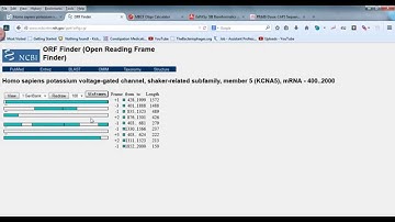 Bioinformatics lecture 12 ORF finder in NCBI (practical bioinformatics)