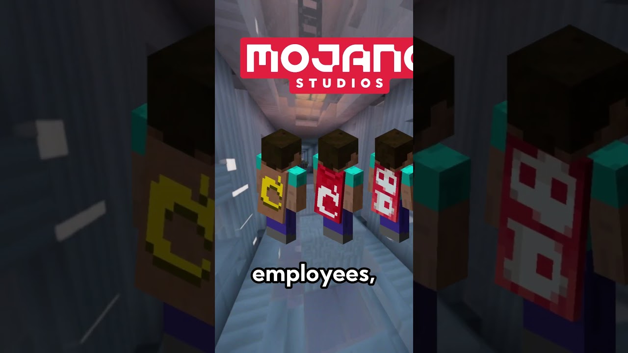 Minecraft's Various Rare Capes