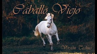 Caballo Viejo. Versión Techno