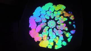 1D interactive circular feedback freestyle
