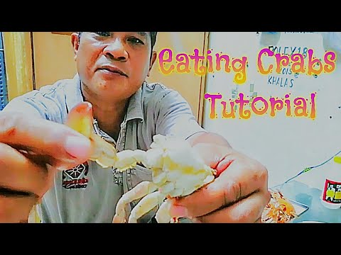 Paano Kumain Ng Alimasag (mukbang) How to Eat Crabs / unlimited