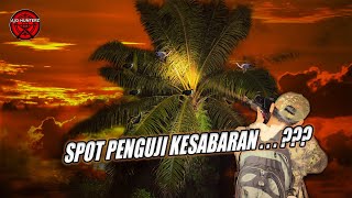 HARUS BUTUH BERAPA KALI TEMBAK BIAR MATI WOII !! BERBURU BURUNG RUAK RUAK MALAM HARI 🔥HUNTING BIRD