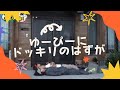 【釣りよか】7年前にお蔵入り予定だった動画が実はめちゃくちゃ面白かった〜みんな仲良し〜【切り抜き】