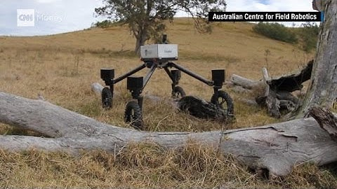 This robot wants to be a cowboy