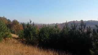 Osredak Gornja Kalesija