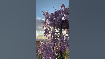 The Foundry Suites  Athens - Rooftop Garden