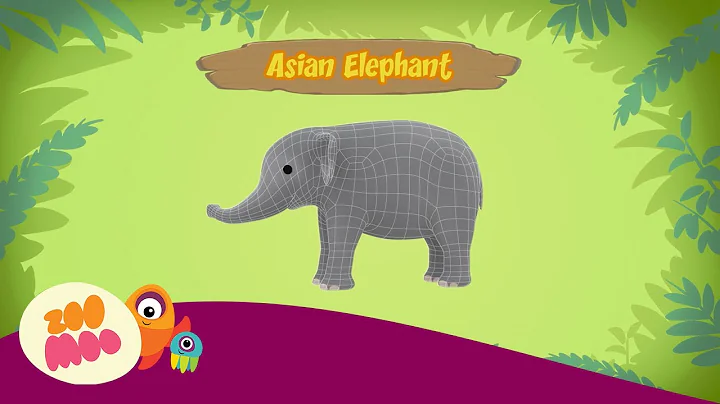 Leo the Wildlife Ranger | Asian Elephant