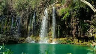 🌷45 min | Meditation music for relaxing  | Beautiful Waterfall sounds for sleep or study.💦