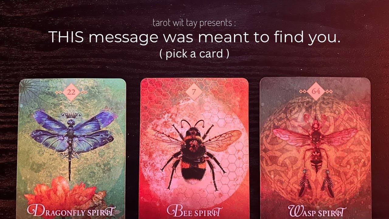 pick a card 💌 this message was meant to find you with extreme accuracy!