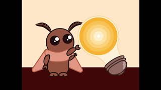 Moth animation test