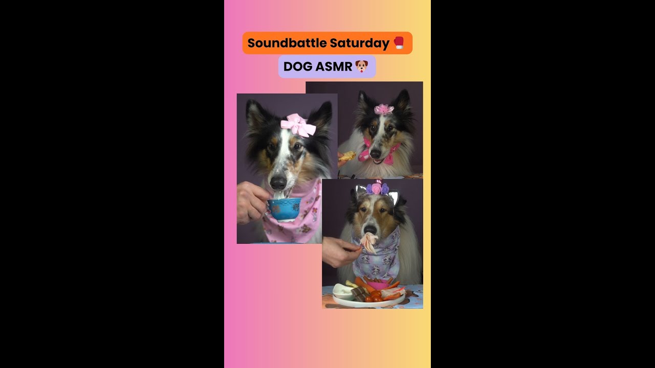 Dog ASMR Compilation 🐶🎧 | Crunchy & Soft Sounds of the Week