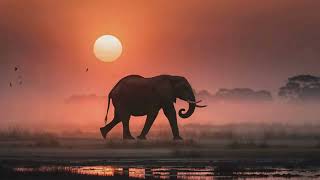 This African Country Feels Unreal  #viralvideo screenshot 4