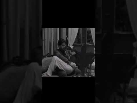 شنهي آطيب من آذيتك