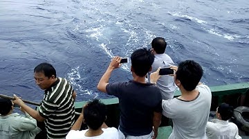 Câu cá ở Biển Đông