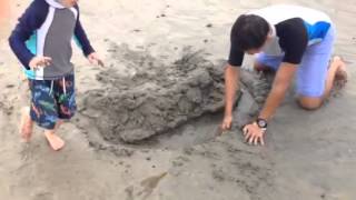 Building a moat to catch the tide