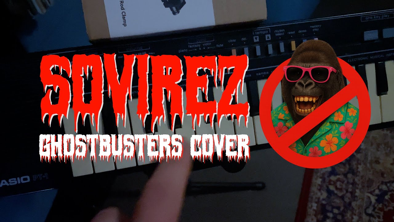Sovirez - Ghostbusters acoustic cover