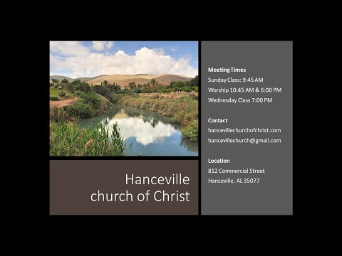 Video preview