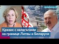 Какую стену Литва построит на границе с Беларусью?