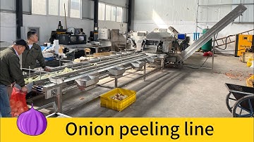 2000kg/h onion peeling line | onion peeler | onion peeling machine