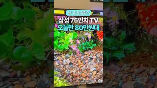 🚨80만원대 삼성 75인치 TV 추천!🔥역대급 가성비 미쳤다 #삼성TV #75인치TV #삼성75인치TV #LH75BEFHLGFXKR #CrystalUHD #4KTV #스마트TV