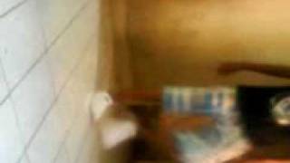rebolation.3GP