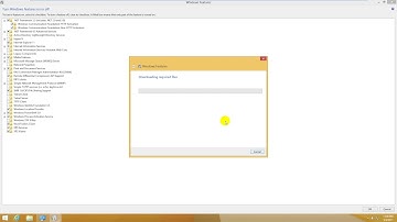 Install  Net Framework 3.5 ( includes  NET 2.0 and 3.0 )in Windows 8
