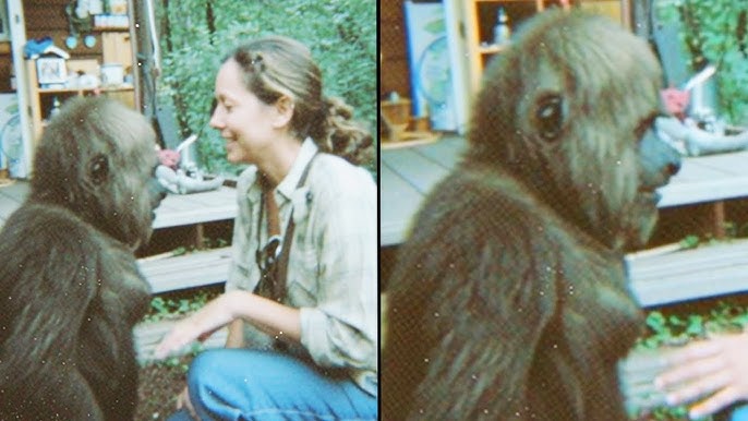 1 MINUTE AGO: Mireya Mayor Leaks BANNED Expedition Bigfoot Footage  Revealing Everything… - YouTube