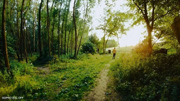 Feiyu Tech G6 (prototype) BIKING - Stabilization Test