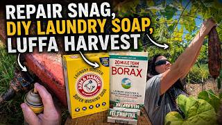 Repair Snag, DIY Laundry Soap, Luffa Harvest