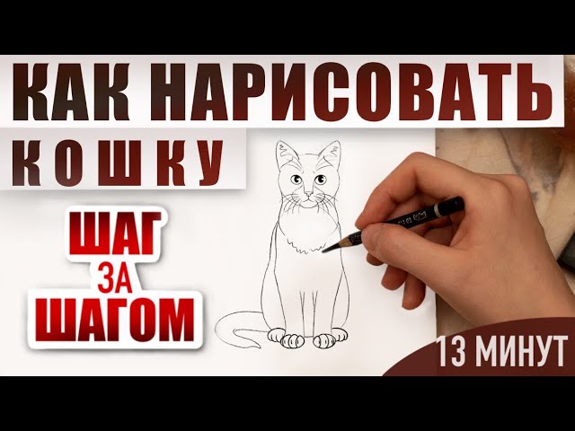 Как нарисовать кошку поэтапно карандашом | Обучающие видео-уроки рисования для начинающих.