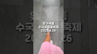 [여행] 공주 유구색동수국정원꽃축제 2025.6.26 로망스투어