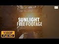 Sunlight free footage for you  moving in shot  morningevening scene