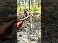 Survival trap creative skills. #trap