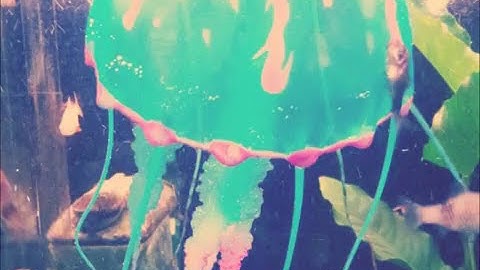 B-Complex - Broken Beats (mix)