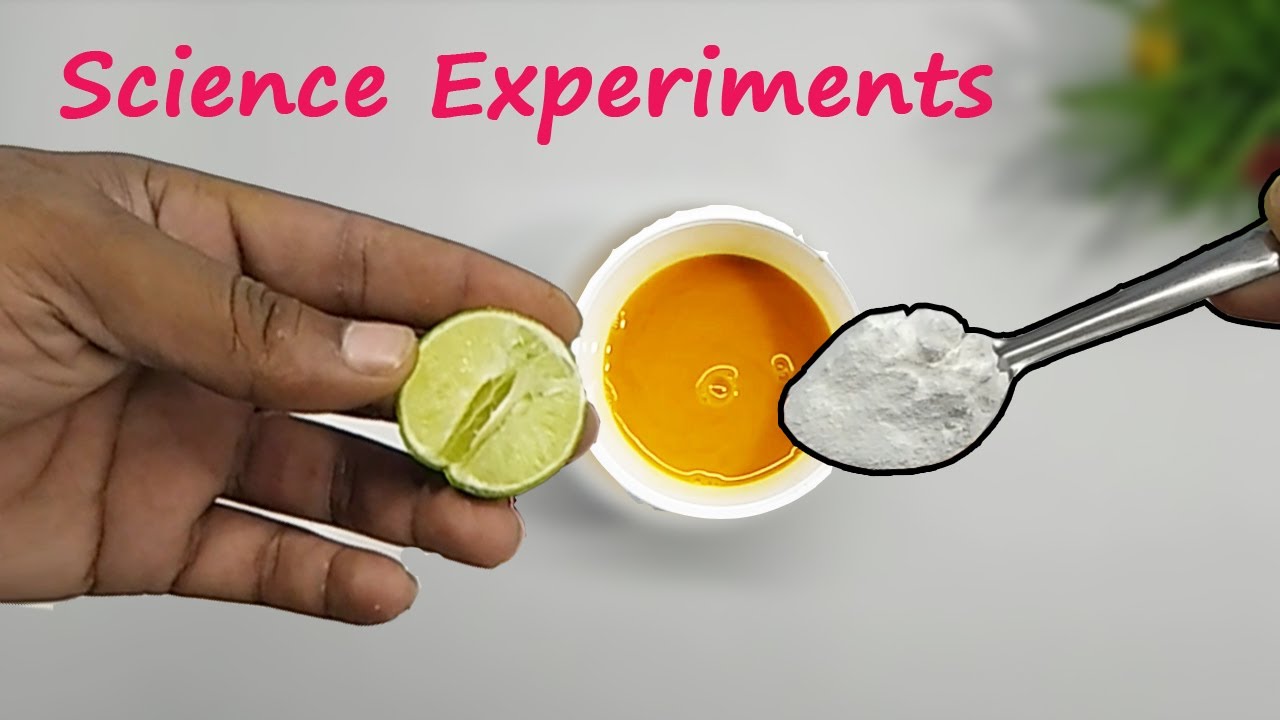 4 Easy Science Experiments to do at Home | Simple Science Experiments and School Magic Tricks