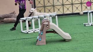 Arta & Toby’s Outdoor Fun! Sibling Playtime & Holiday Joy