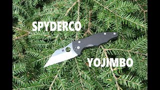 Spyderco Yojimbo 2 : Folding Pocket Knife : Best EDC