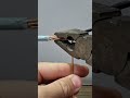 Como fazer uma boa emenda em cabos elétricos 🙂 #solutions #diy