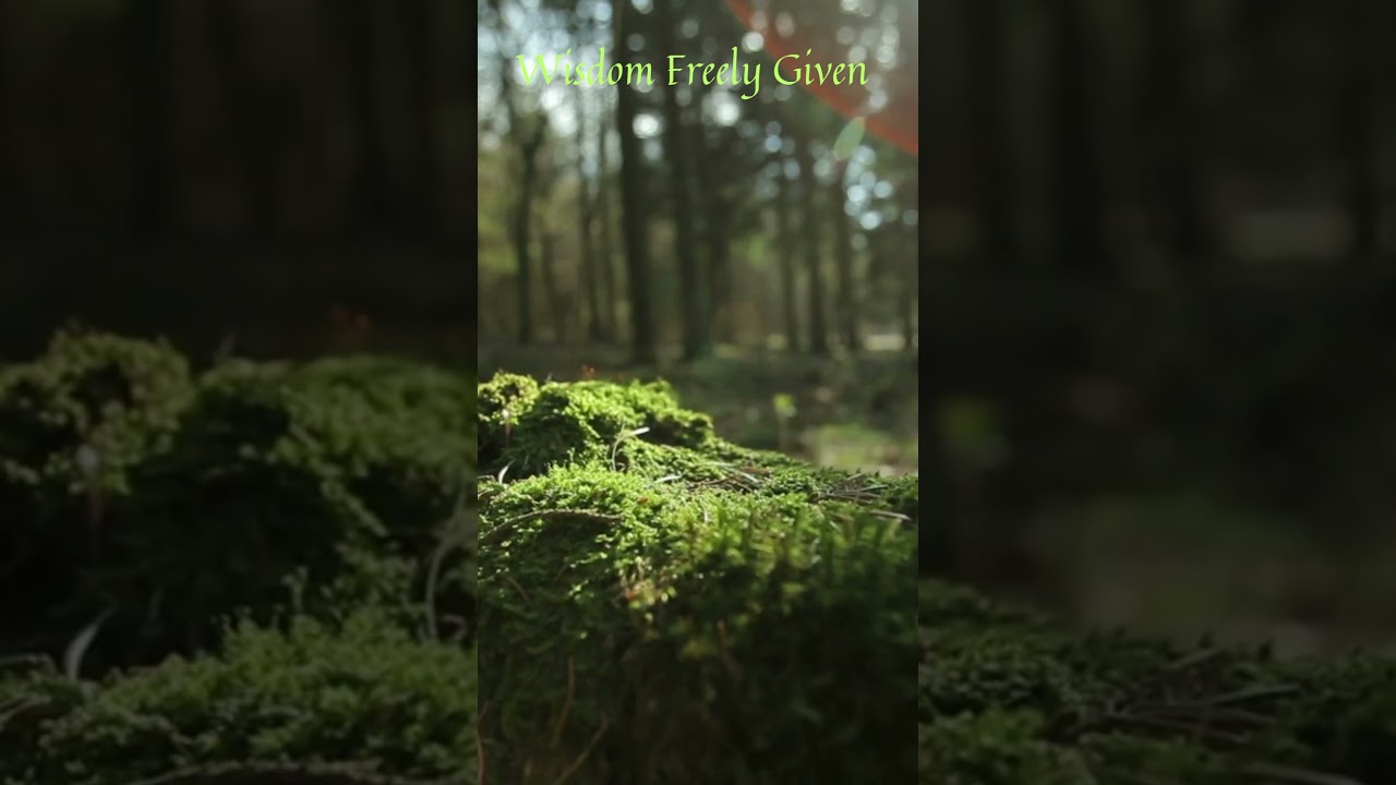 Wisdom Freely Given