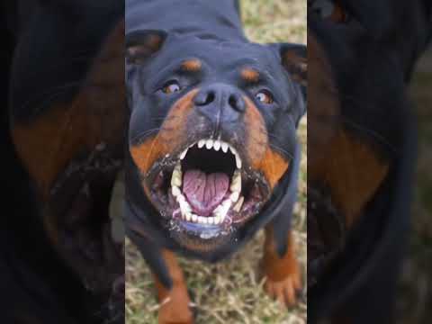 Https On Soundcloud Com VQVtUSzxjj8L5IaIjV 